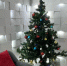 tree - Кинель-Черкасский район
