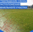 shema - Кинель-Черкасский район