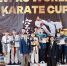 karate - Кинель-Черкасский район