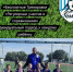 football - Кинель-Черкасский район