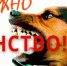 beshenstvo - Кинель-Черкасский район