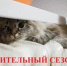 sezon - Кинель-Черкасский район